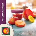 Reusable Silicone Food Savers – Autumn Harvest (Set of 5)